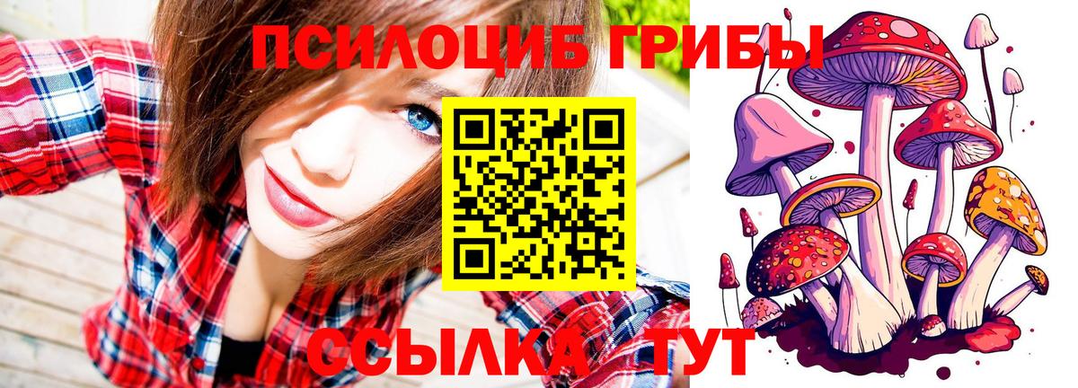 Моздок  купить   Вход с VPN  Галлюциногенные грибы GOLDEN TEACHER  Псилоцибиновые грибы GOLDEN TEACHER 
